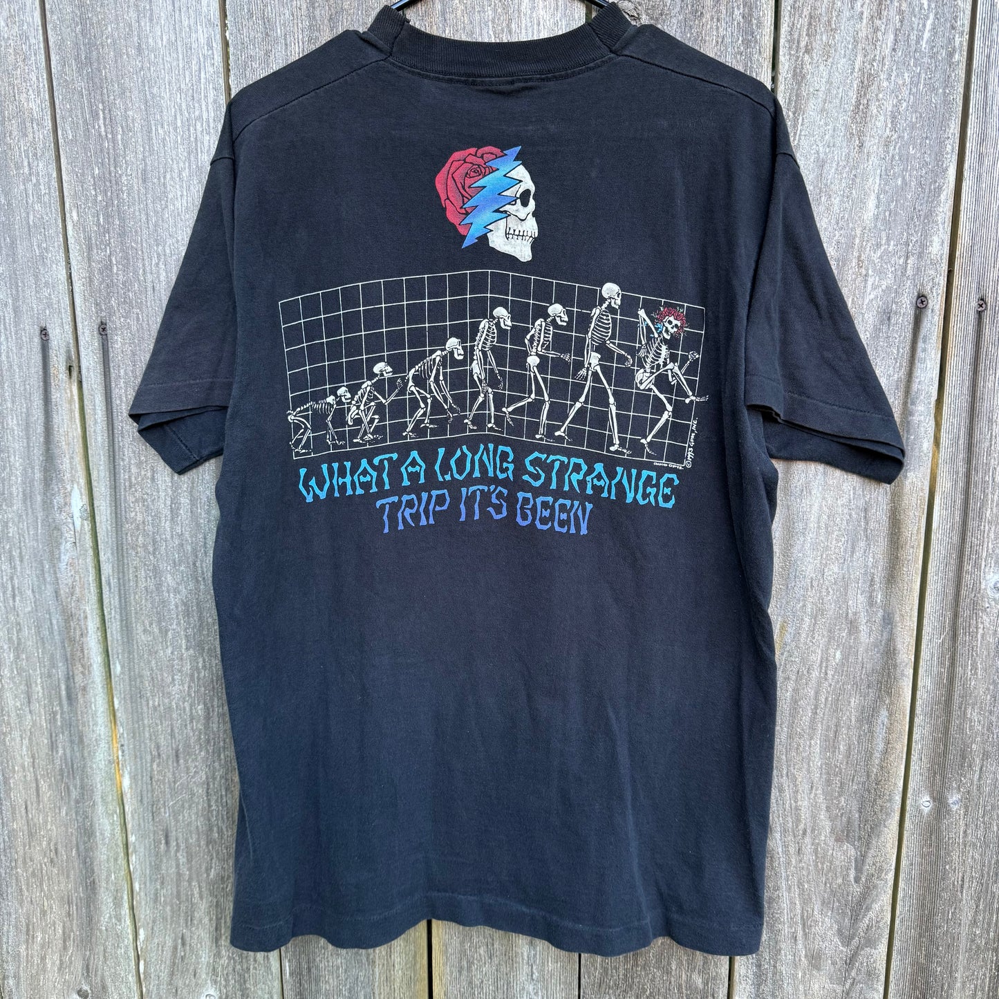 Vintage 1993 Grateful Dead Official T-Shirt