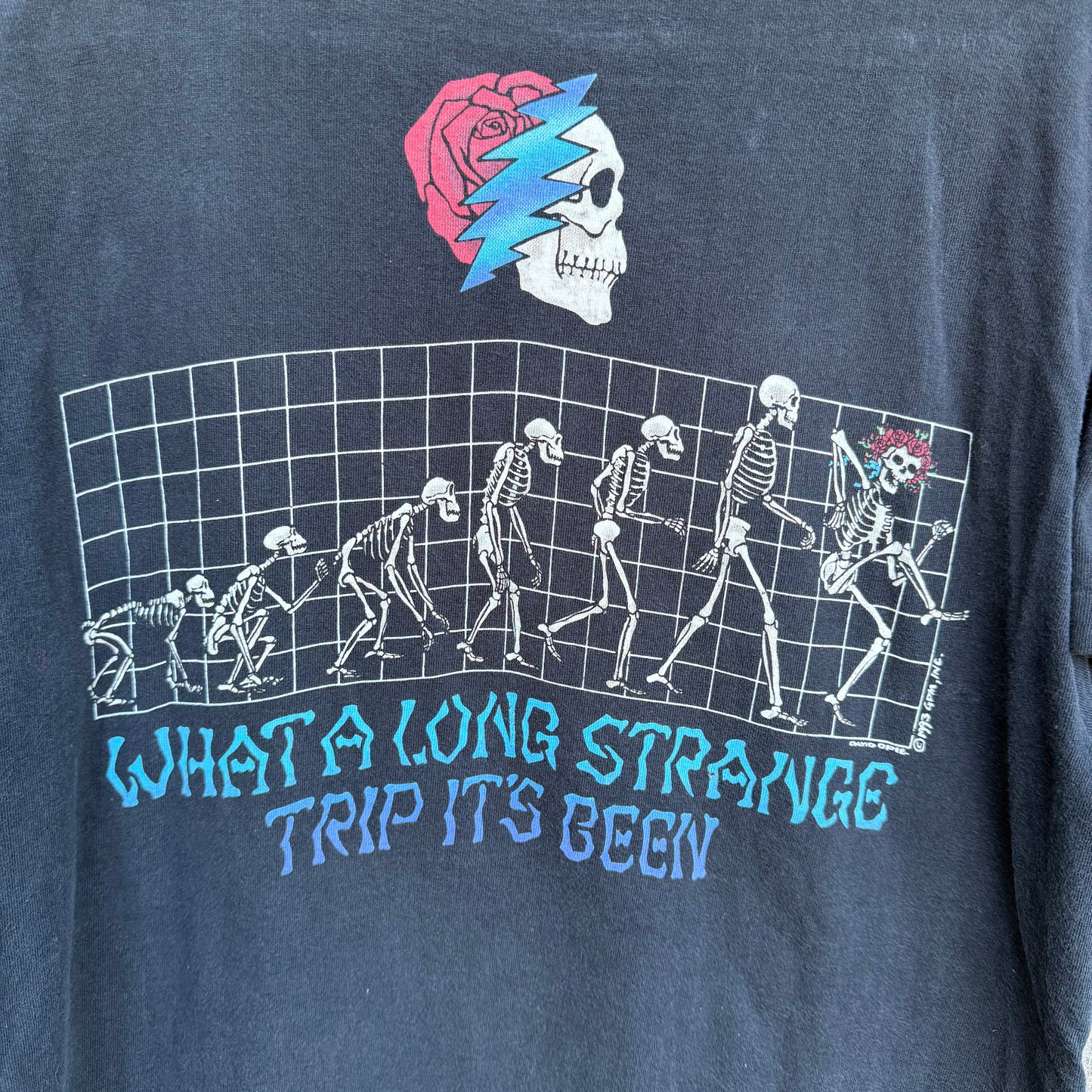 Vintage 1993 Grateful Dead Official T-Shirt