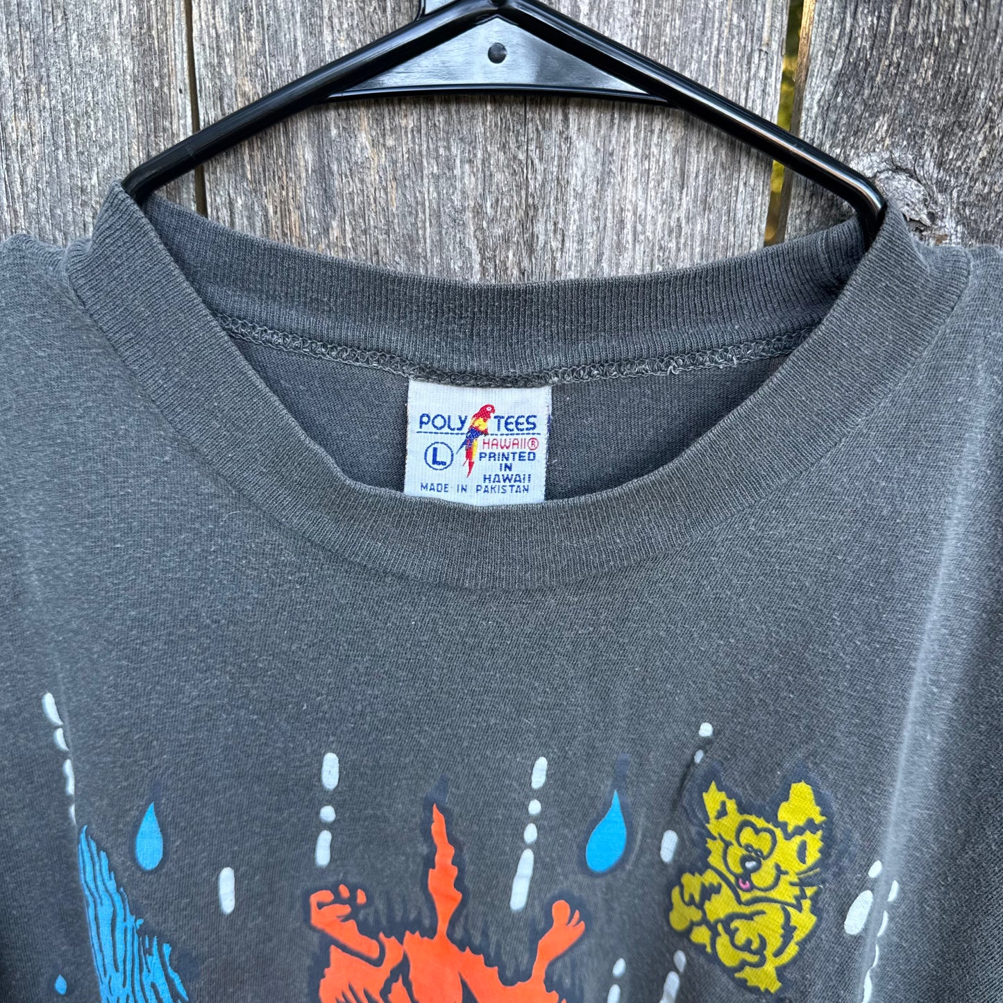 Vintage Oregon Coast "Raining Cats & Dogs" T-Shirt