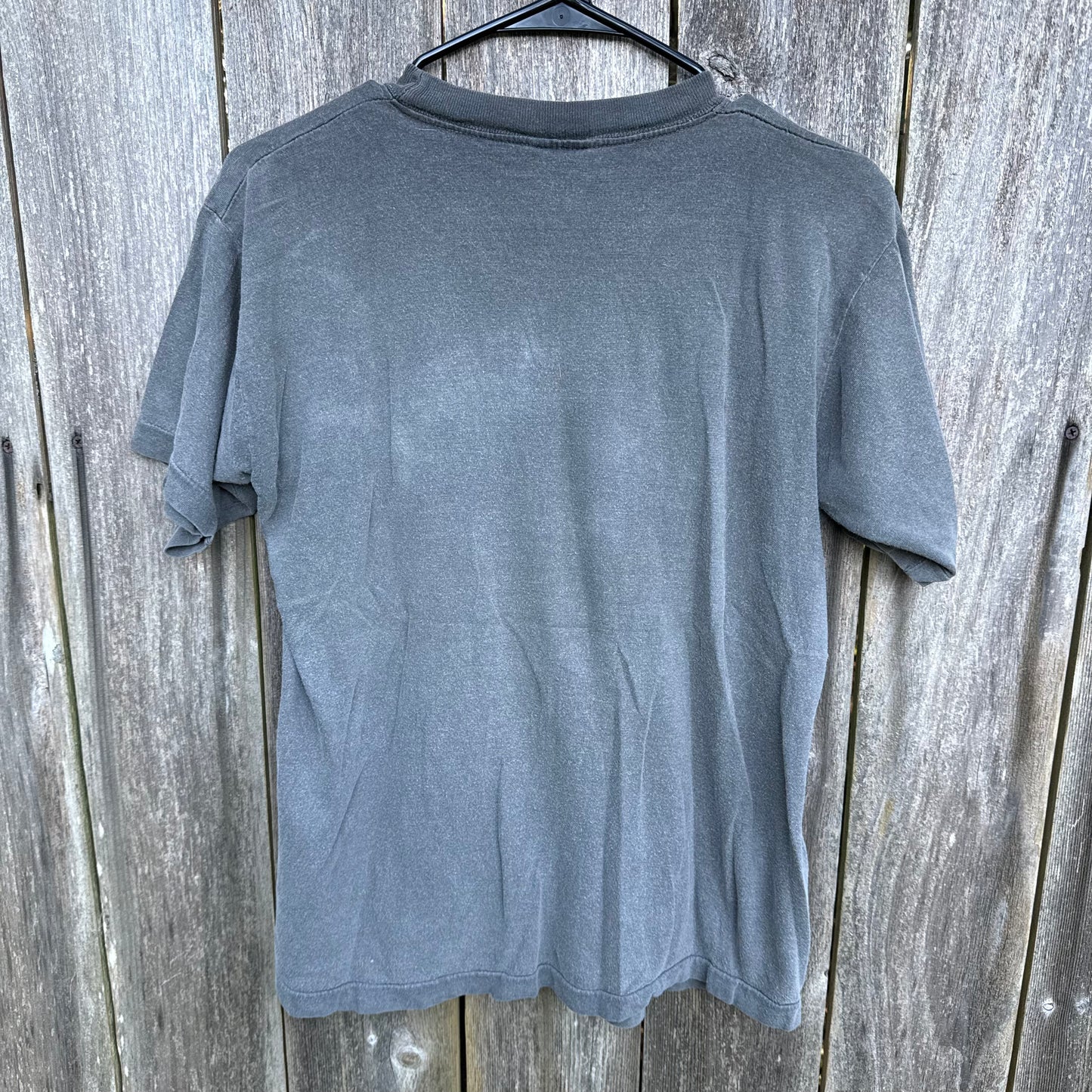 Vintage Oregon Coast "Raining Cats & Dogs" T-Shirt