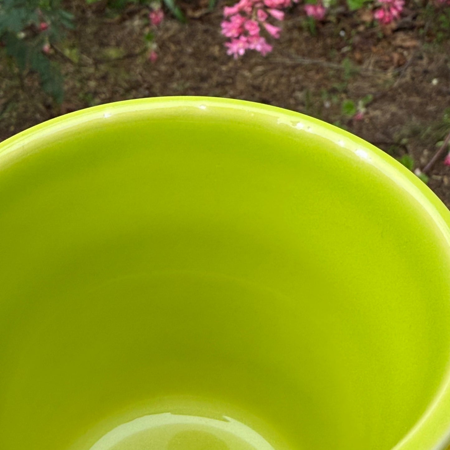 Retired Fiesta Flower Pots (Poppy, Lemongrass, Daffodil)