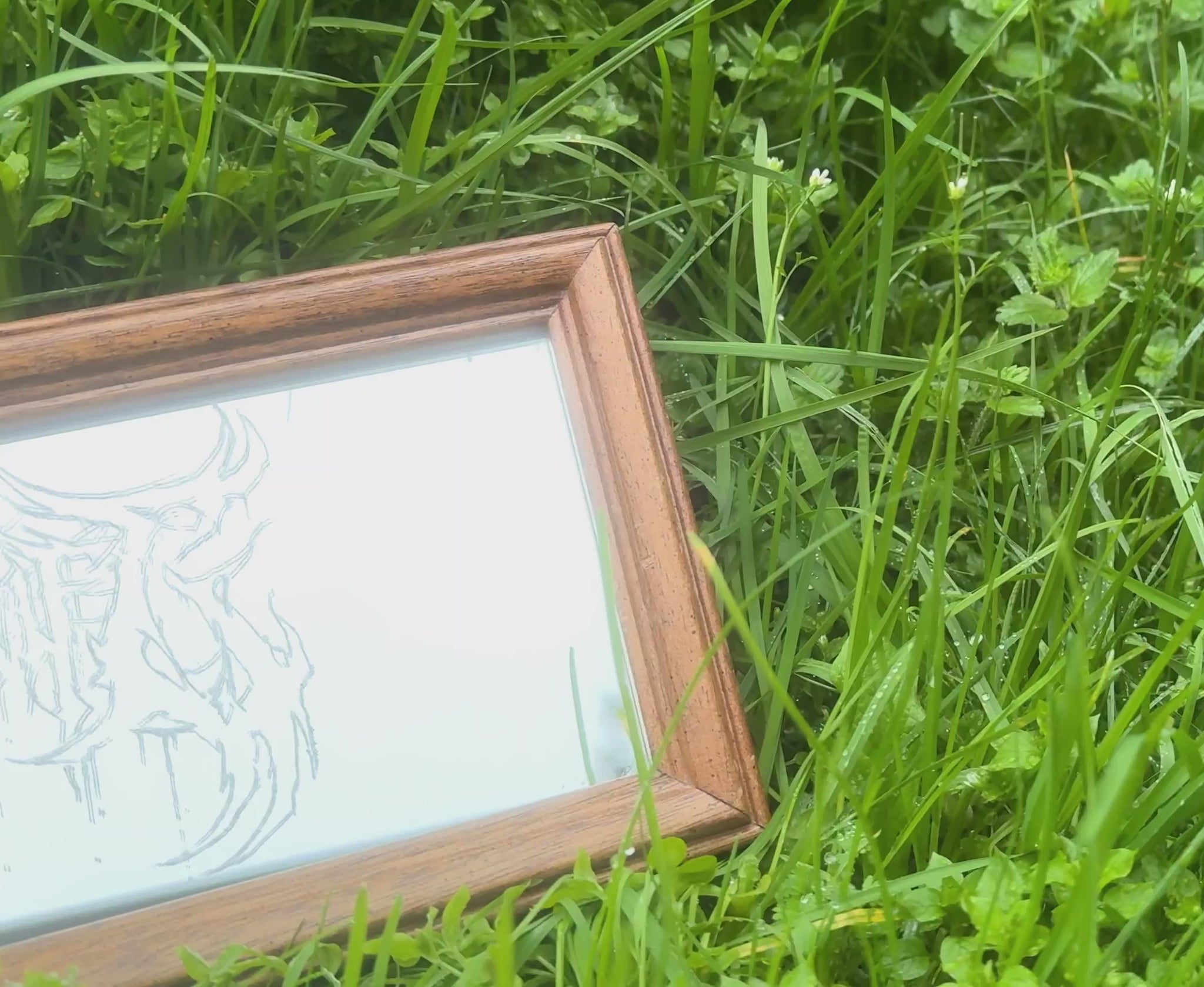 Wooden framed etched mirror in clover
